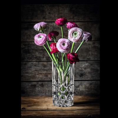 <ノブレス> ベース/ハリケーンランプ 23cm(1個入)x2個